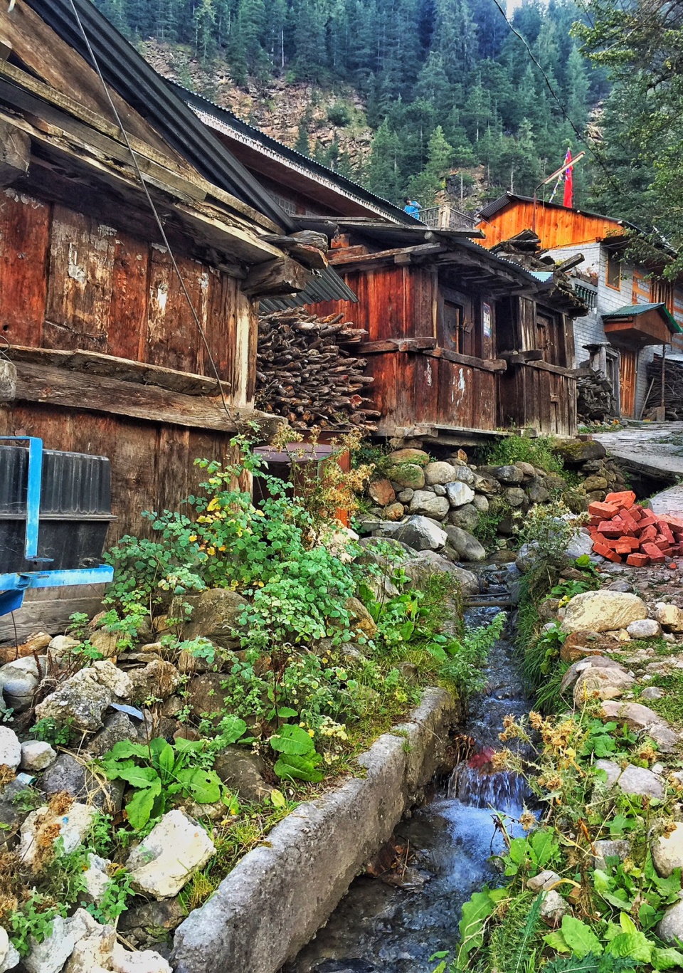 batseri-village-sangla-valley-himachal-pradesh