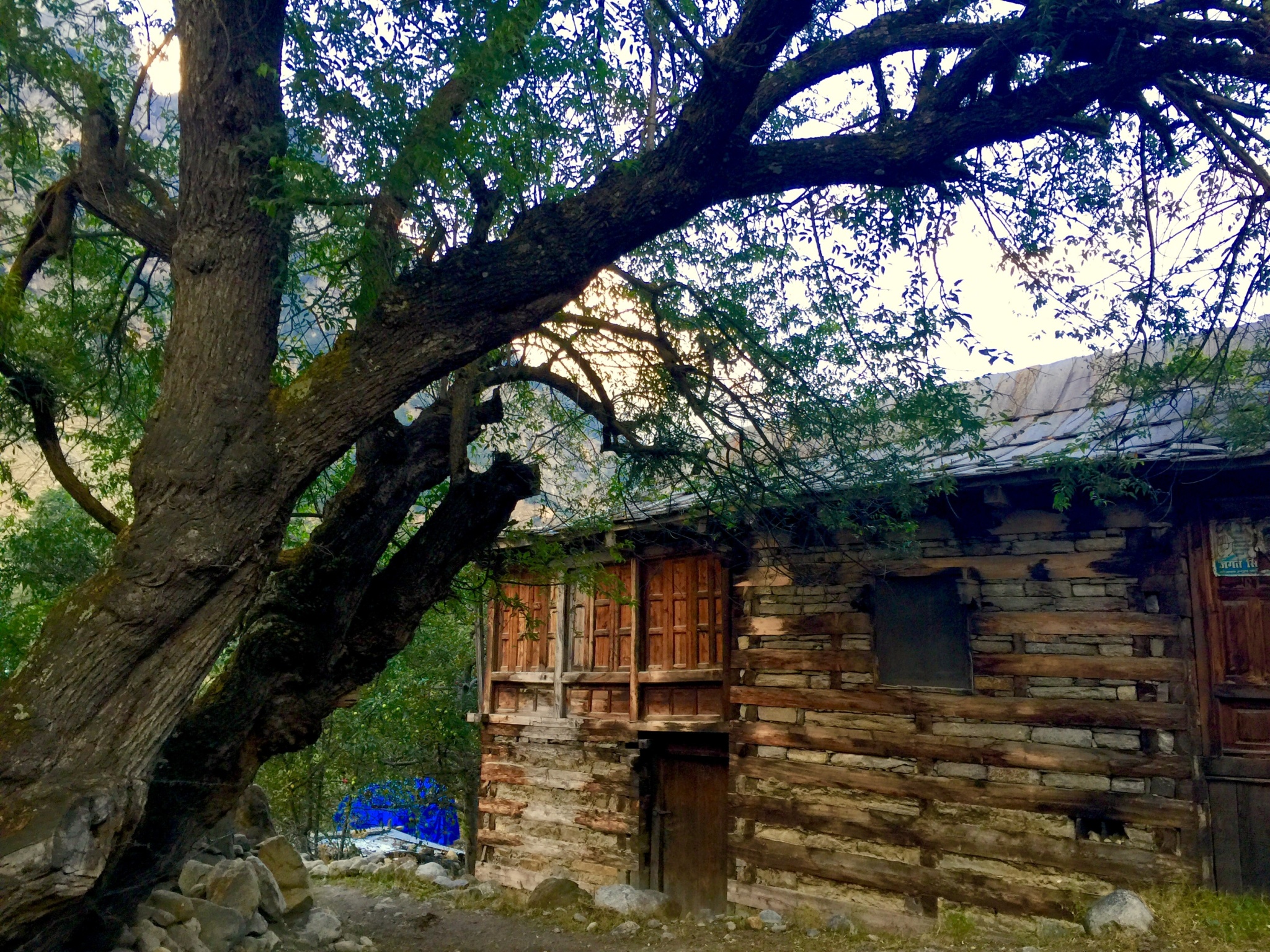 batseri-village-sangla-valley