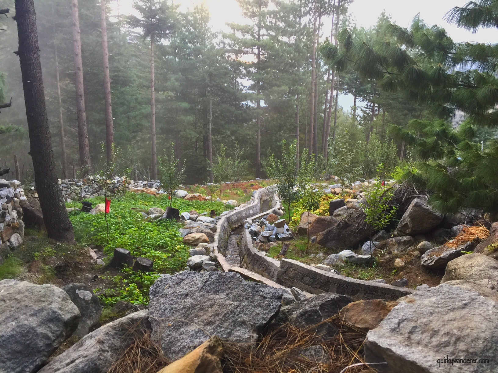 forest-batseri-kinnaur