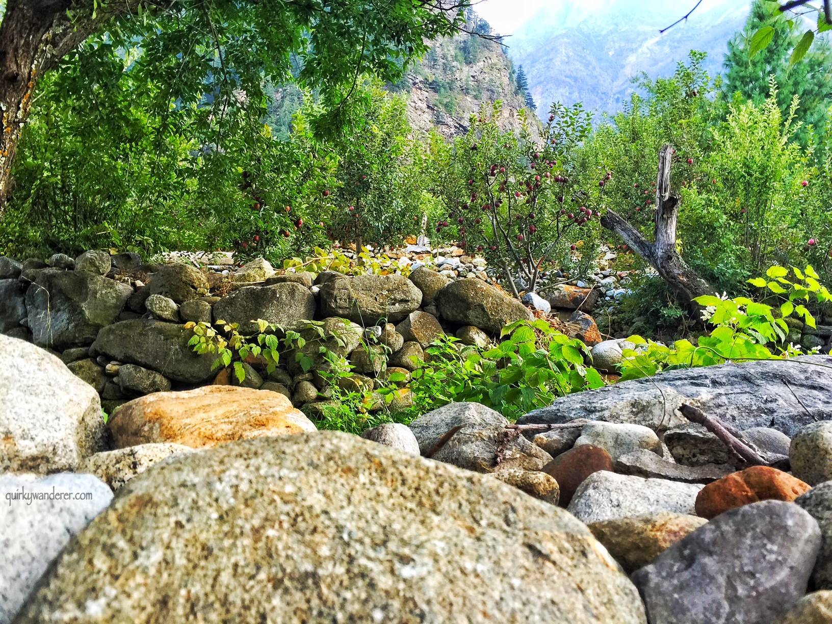 walk-in-sangla-kinnaur