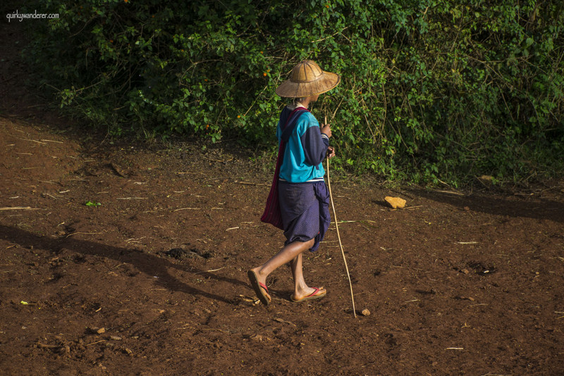 burmese-cowherd