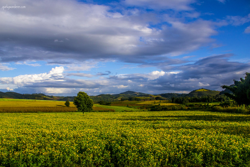 landscape-burma