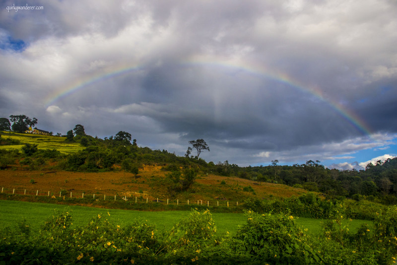 rainbow