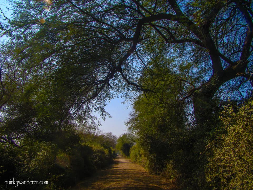 Bharatpur Bird Sanctuary