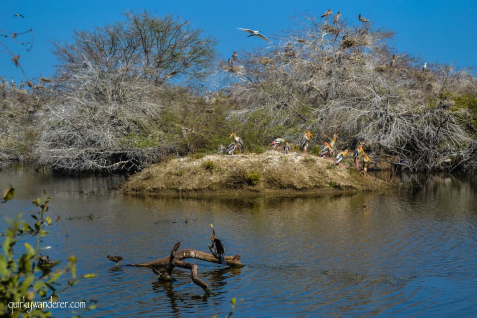 Bharatpur Bird Sanctuary