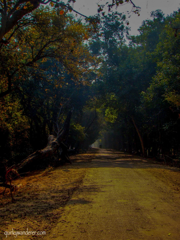 Bharatpur Bird Sanctuary