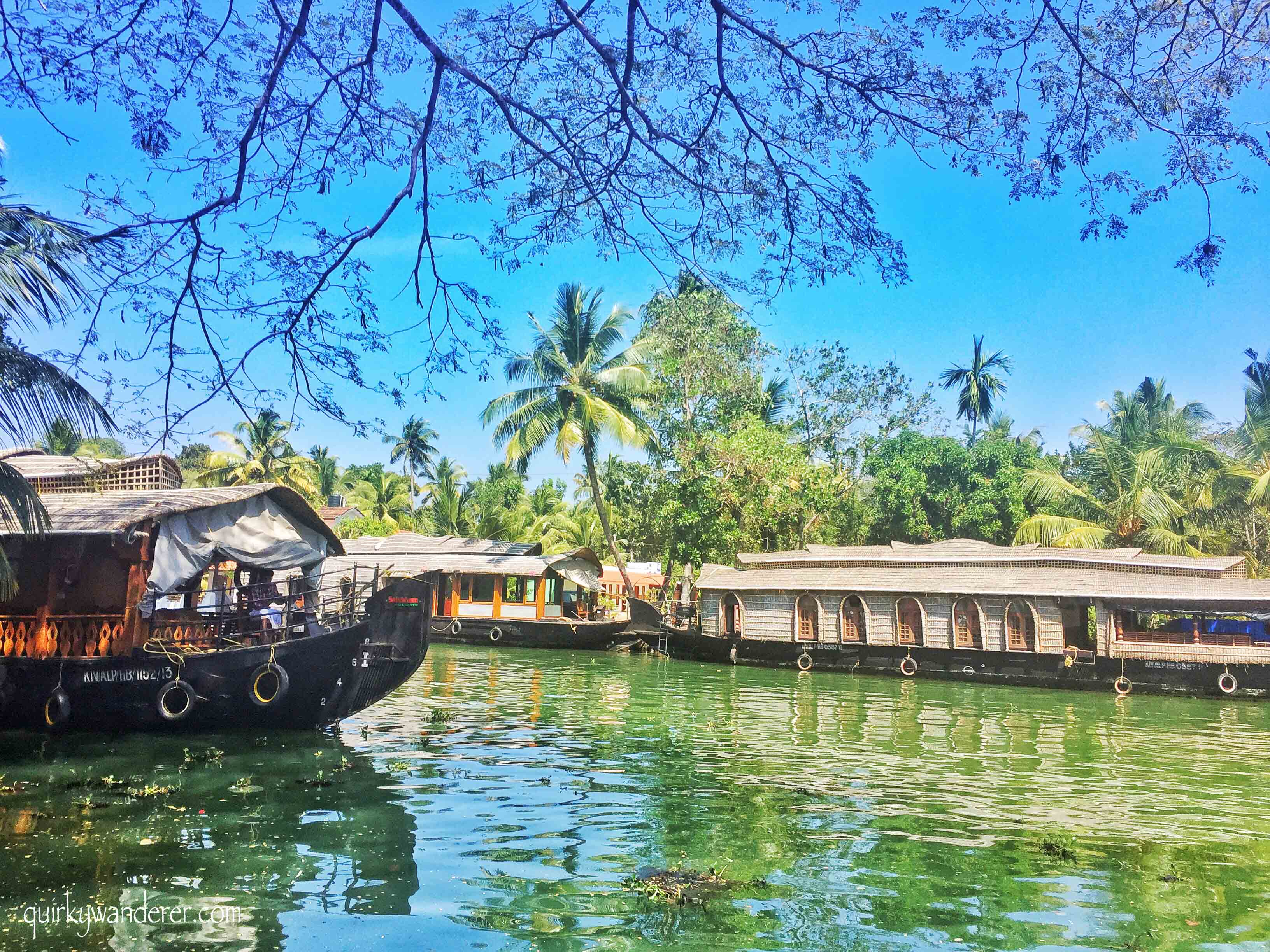 Scenic backwaters of Kumarakom