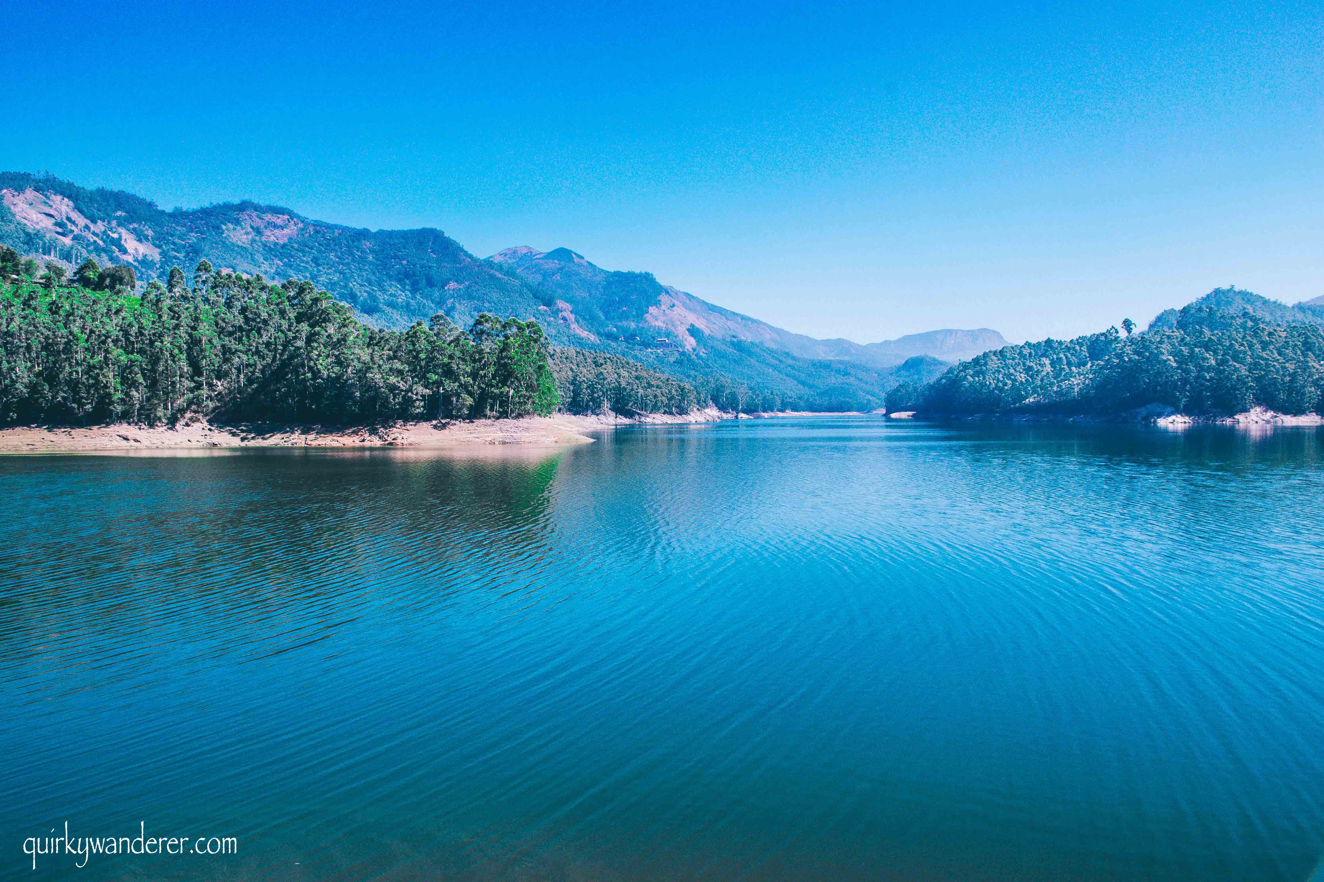 mattupetty dam munnar