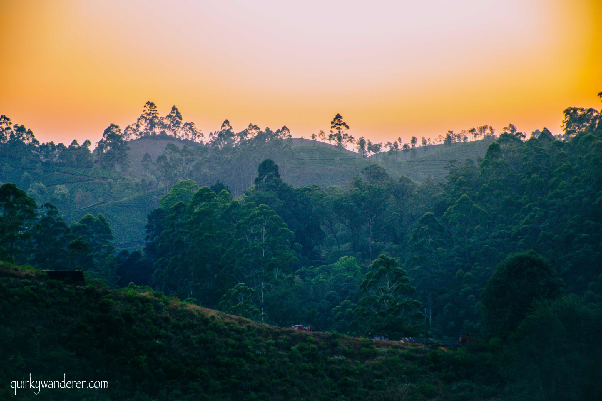 sunset at munnar