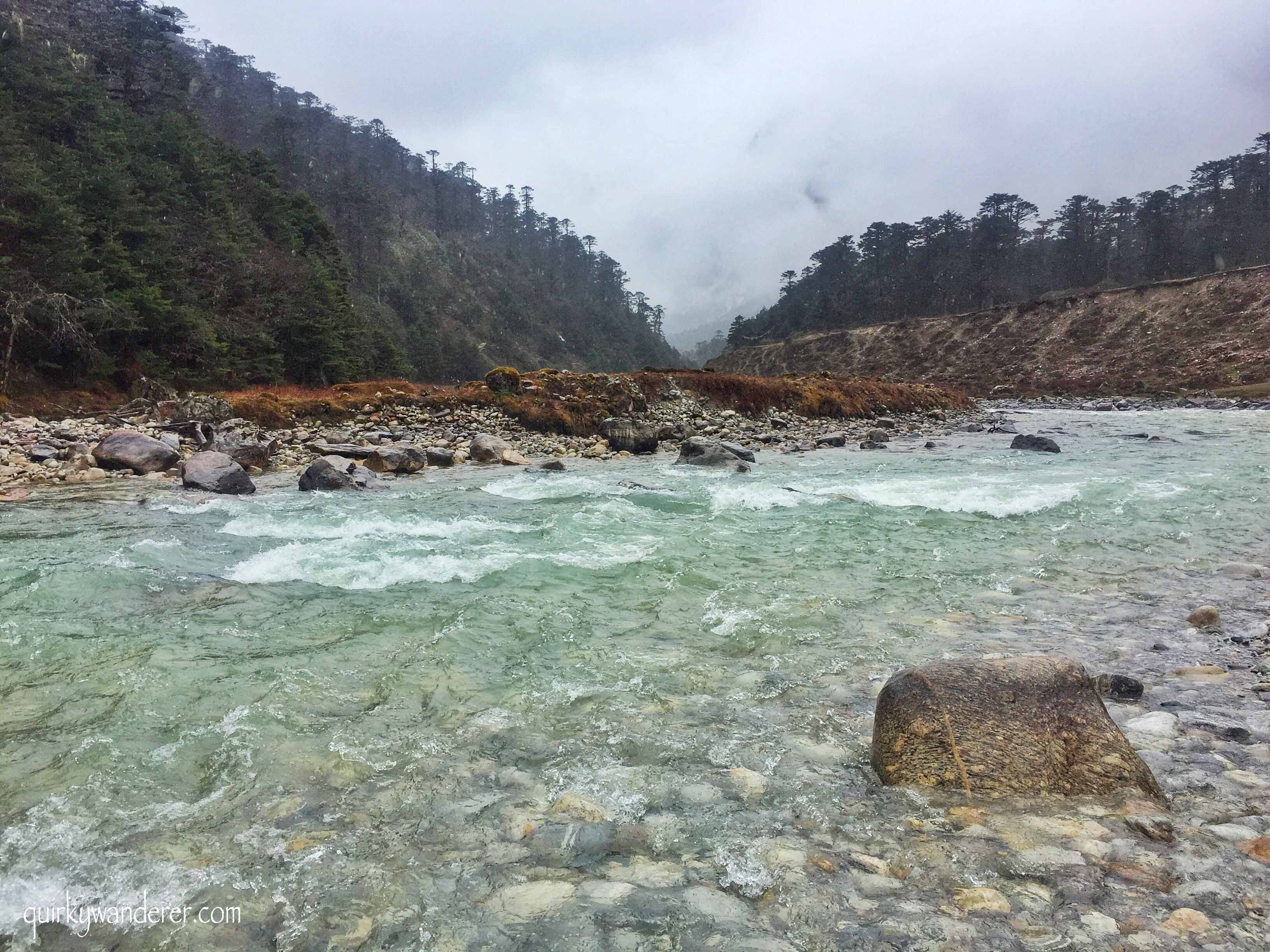 Yumthang valley in North Sikkim is known for its rhododendron blooms, dramatic scenery and the mighty Teesta river that flows in its scenic environs.