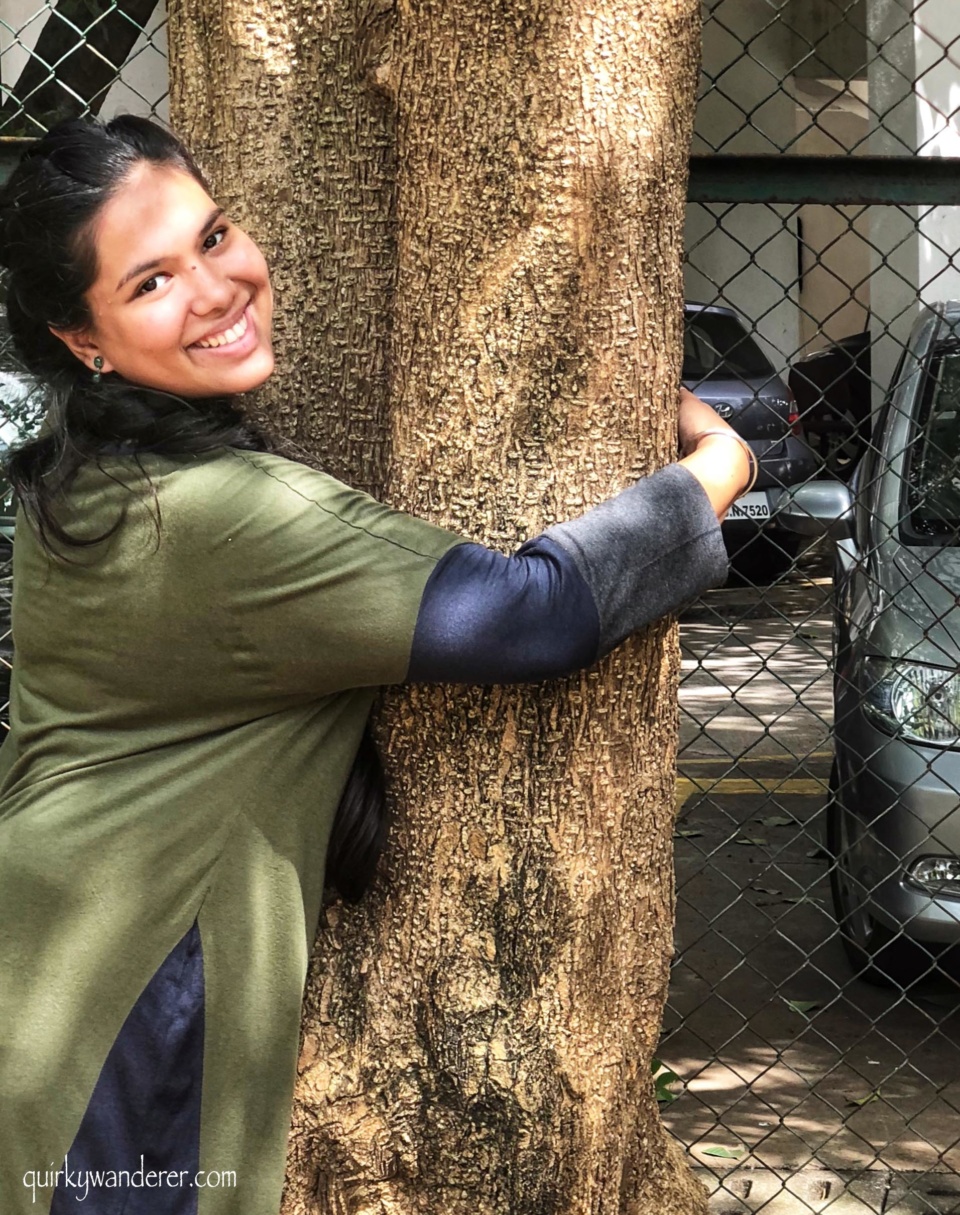 Tree walk in Mumbai organised by Friends of trees Mumbai