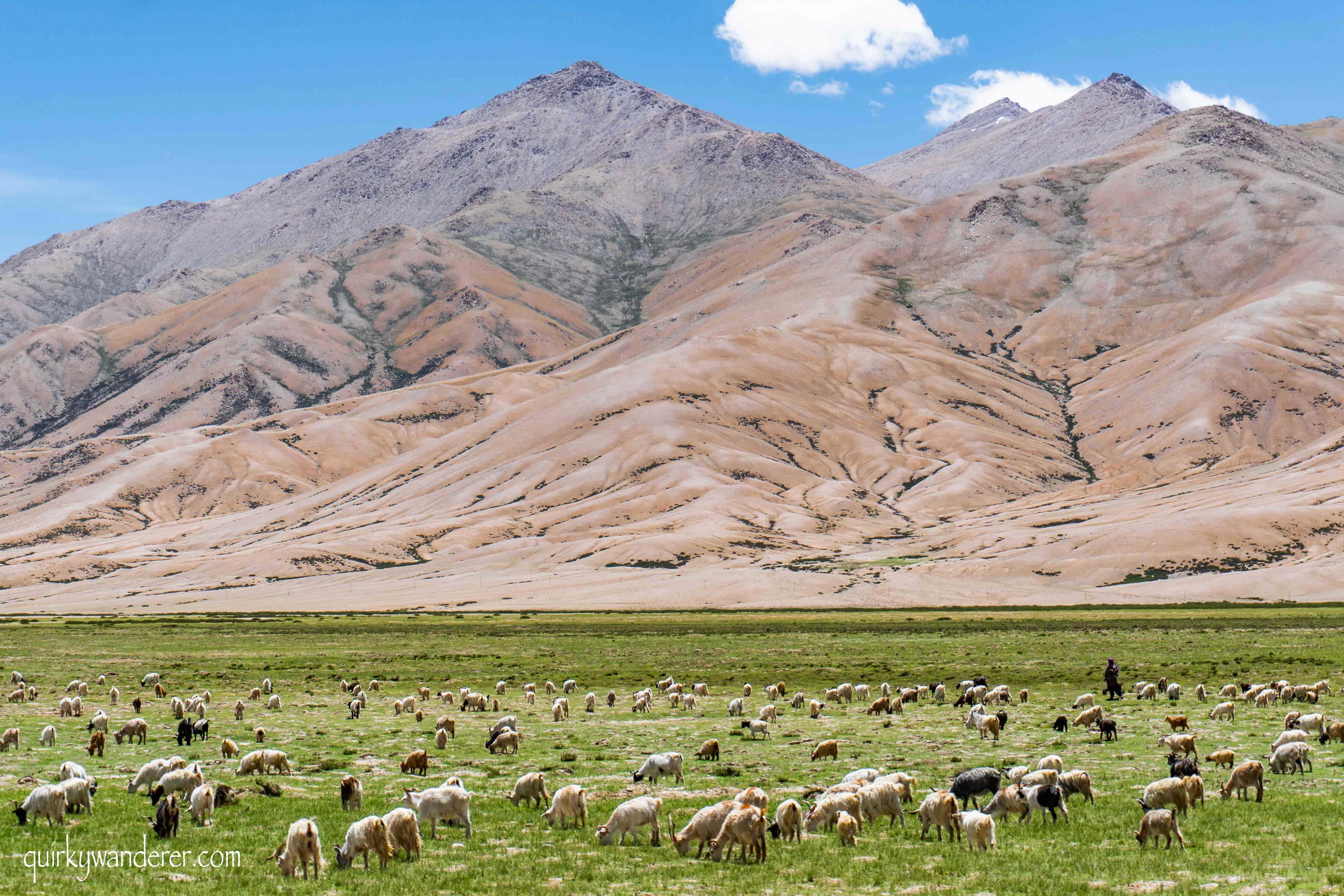 Scenery of Ladakh.