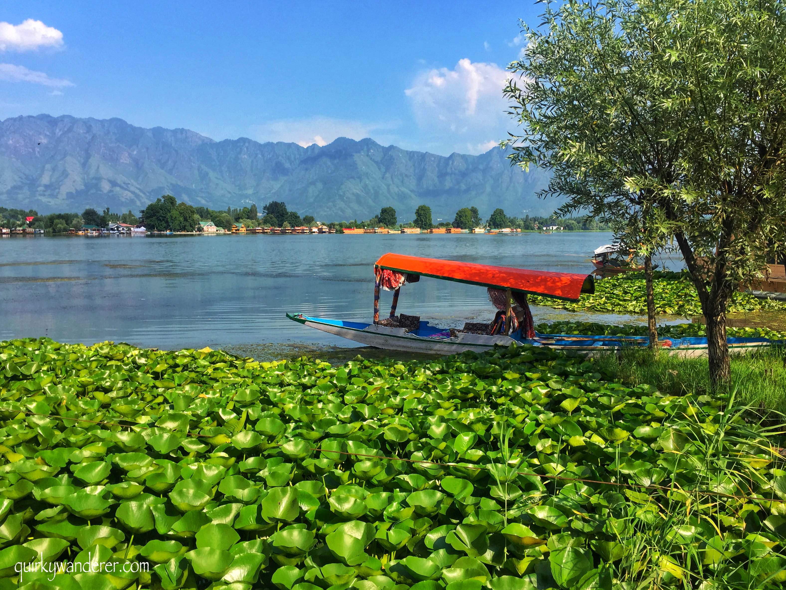 Nigeen lake in Srinagar
