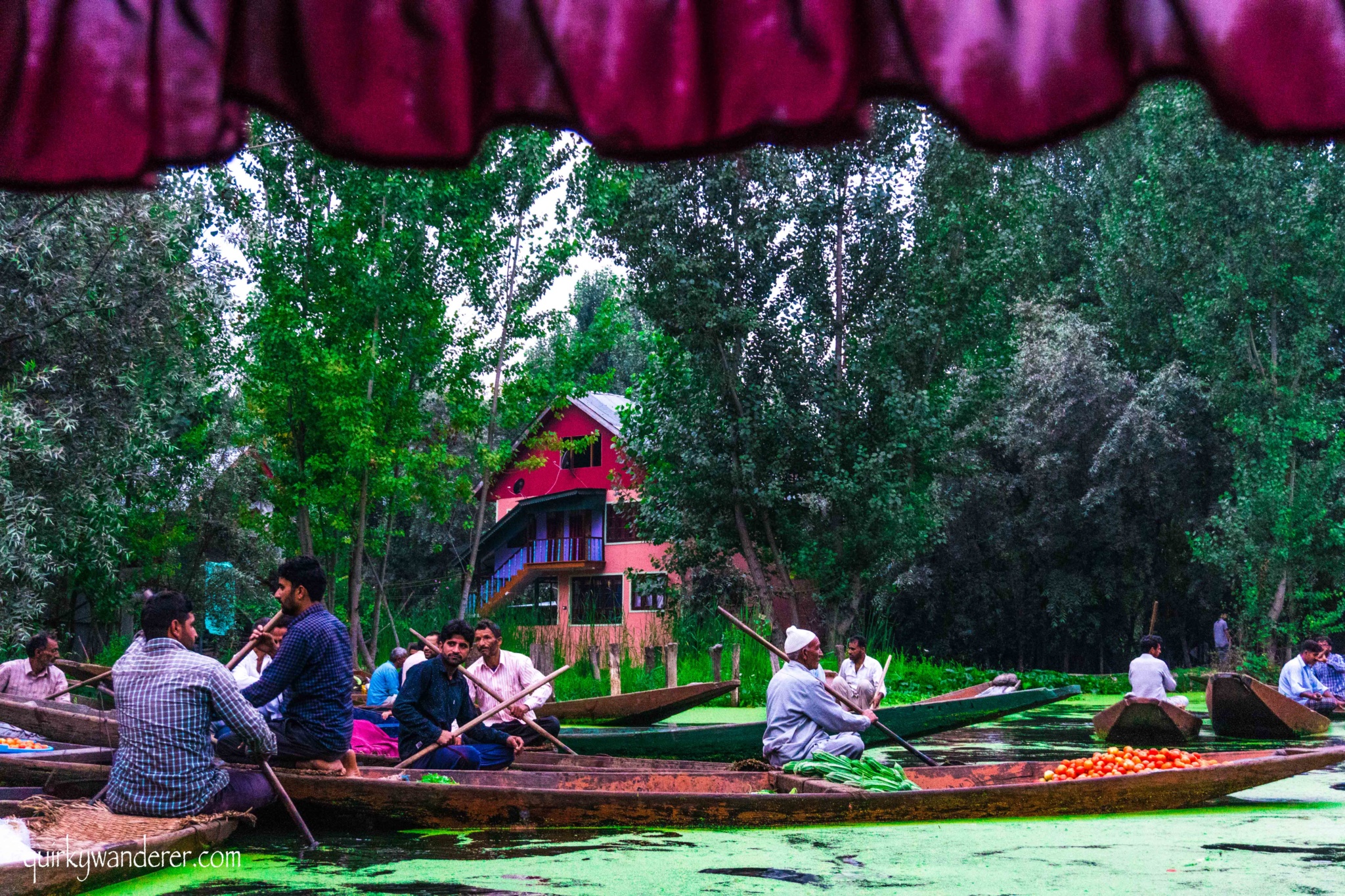 Things to see in srinagar