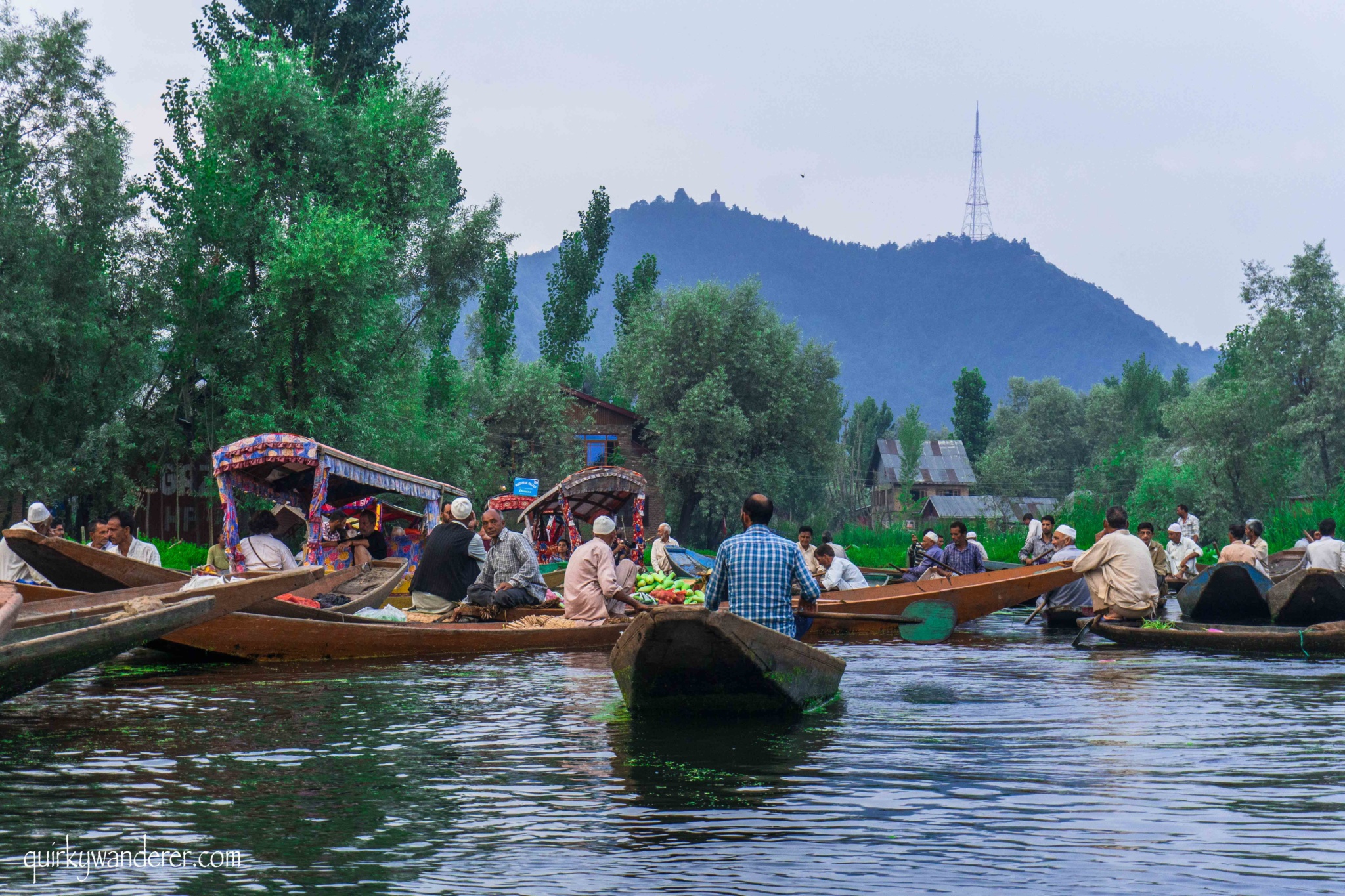 Morning floating market srinagar