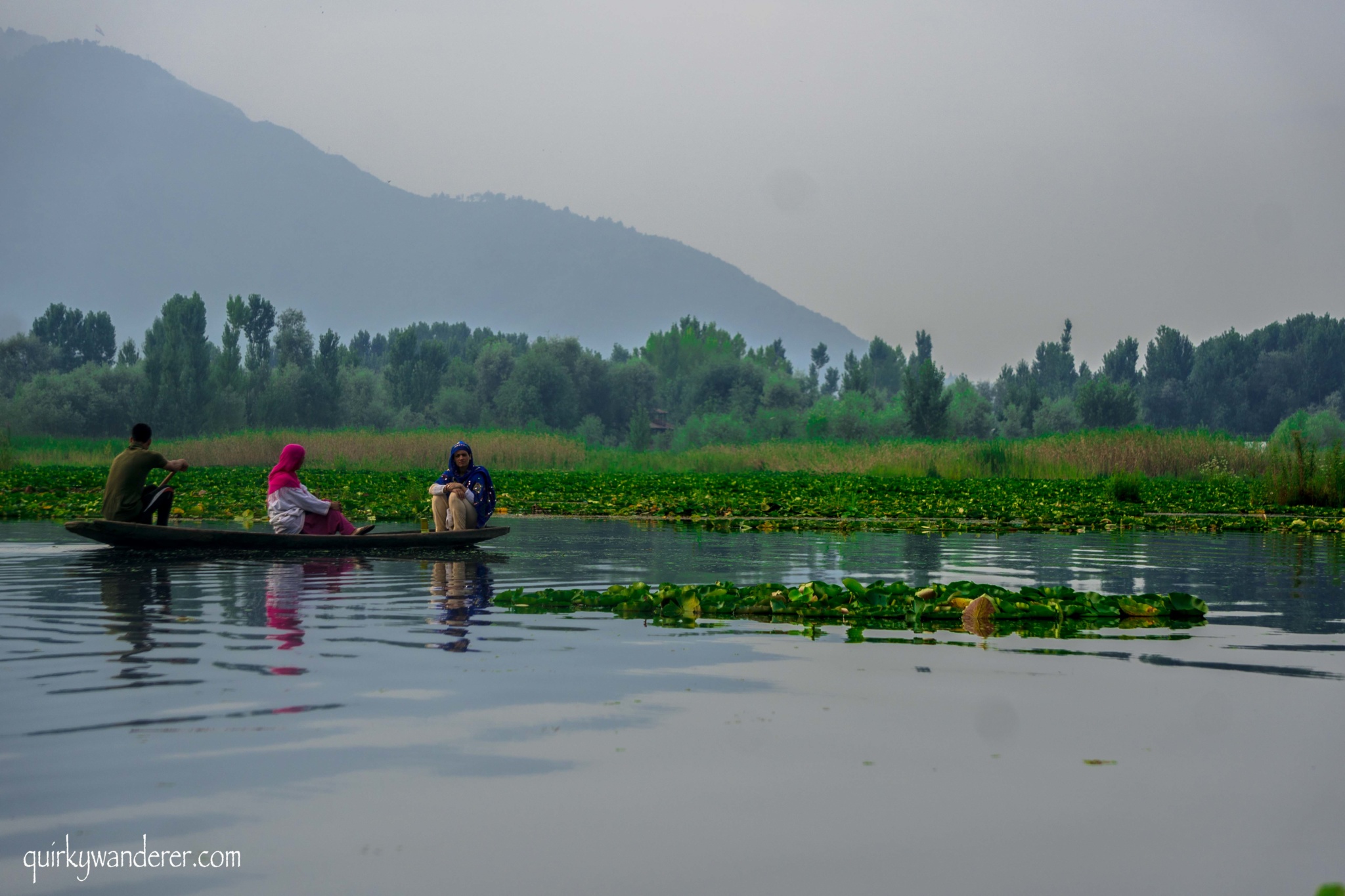 Nigeen lake Srinagar Kashmir