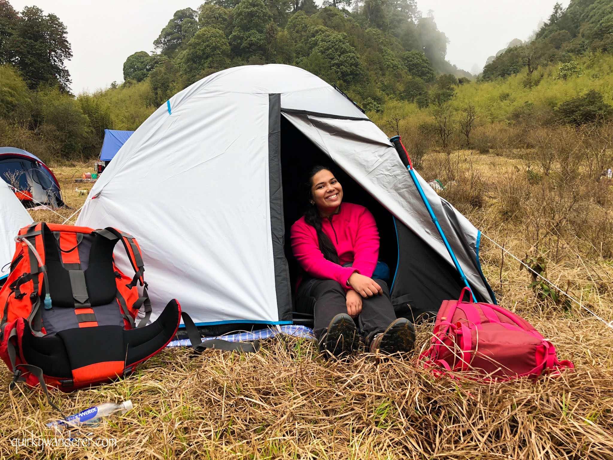 Barsey Rhododendron Sanctuary in West Sikkim is known for its diverse rhododendron forests. A five day trek through it is a must for those who love nature.