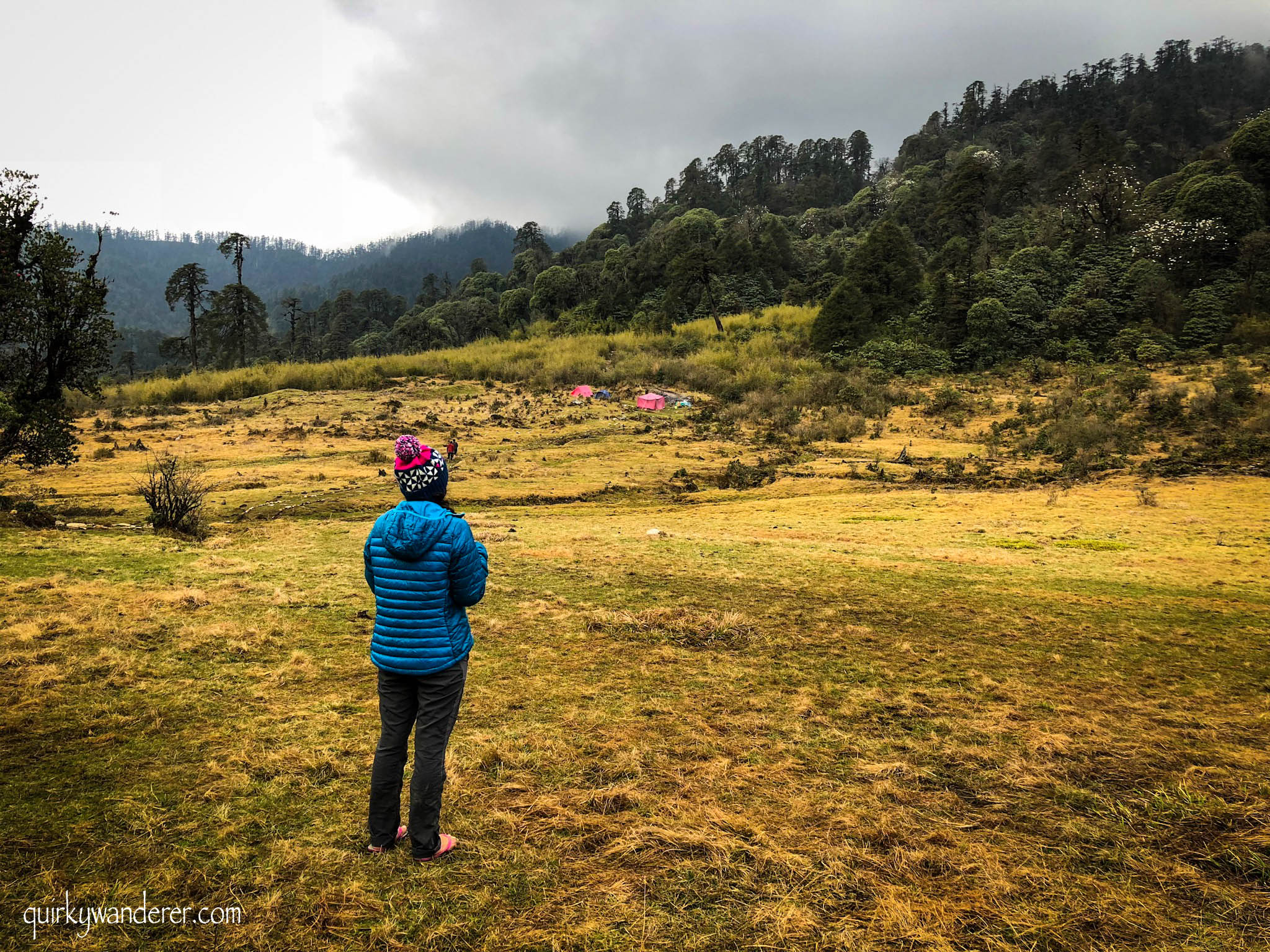 Barsey Rhododendron Sanctuary in West Sikkim is known for its diverse rhododendron forests. A five day trek through it is a must for those who love nature.