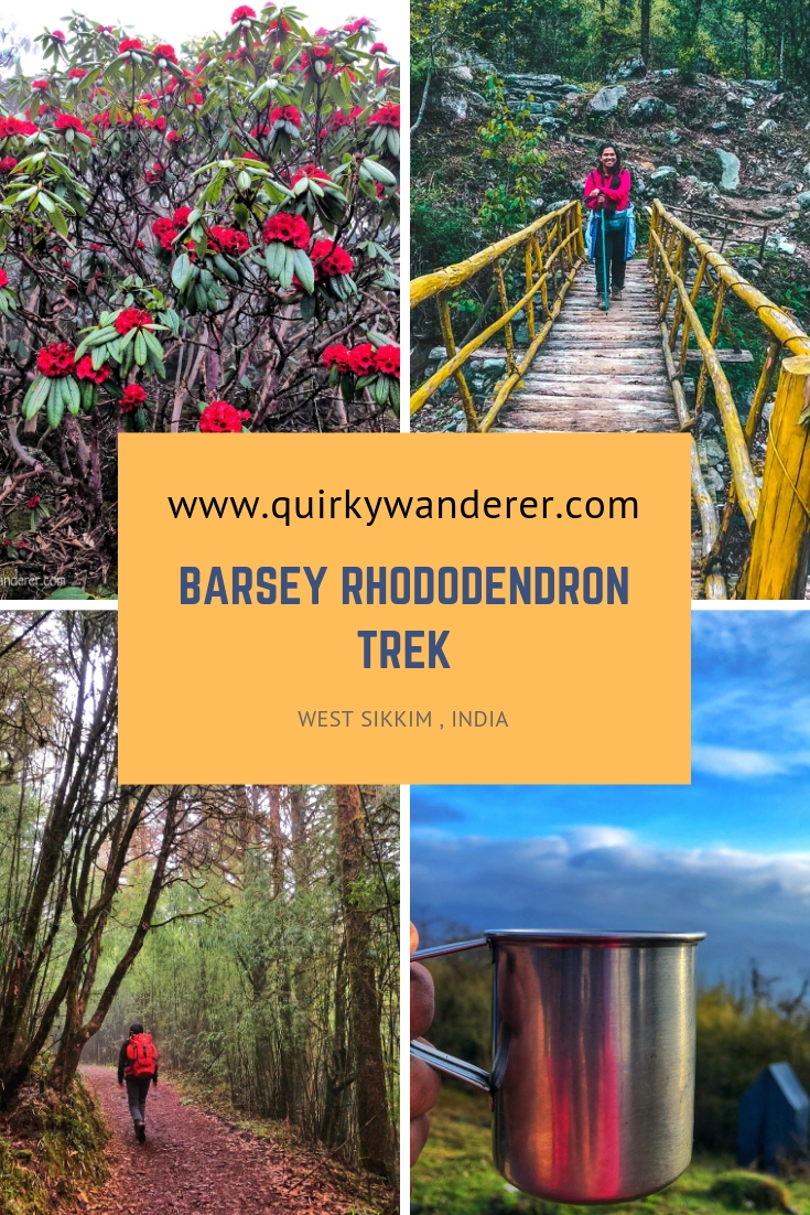 Barsey Rhododendron Sanctuary in West Sikkim is known for its diverse rhododendron forests. A five day trek through it is a must for those who love nature.