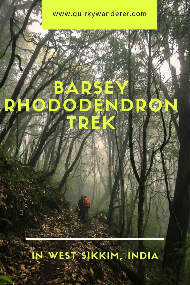 Barsey Rhododendron Sanctuary in West Sikkim is known for its diverse rhododendron forests. A five day trek through it is a must for those who love nature.