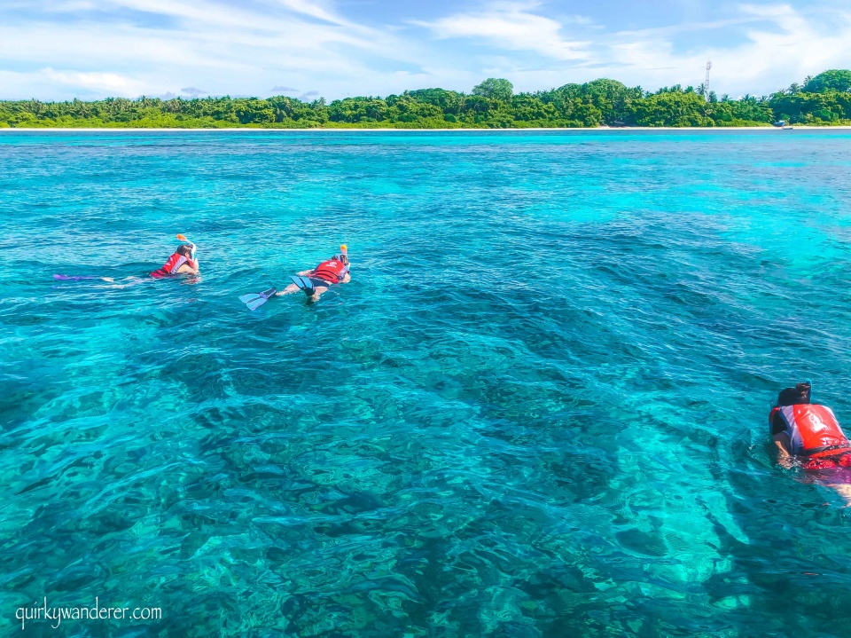 sea turtle excursion Maldives