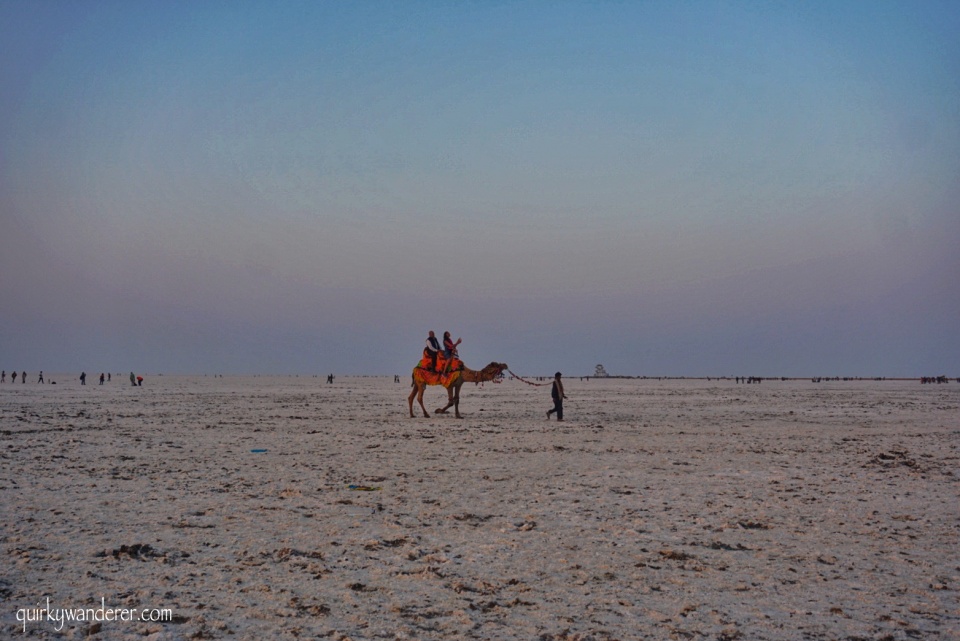 Rann Utsav Kutch