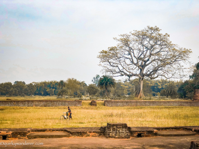 Offbeat Odisha Haripur ruins