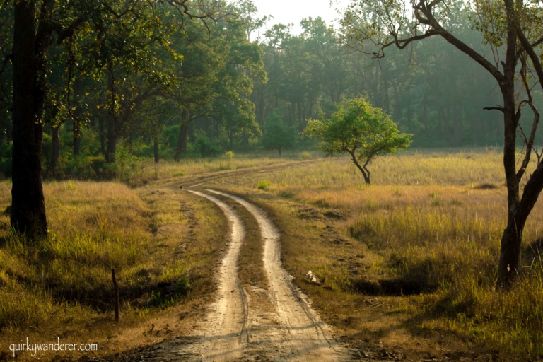 Reliving The Jungle book at Kanha National Park - Quirky Wanderer