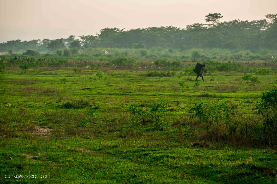 things to do in Chitwan