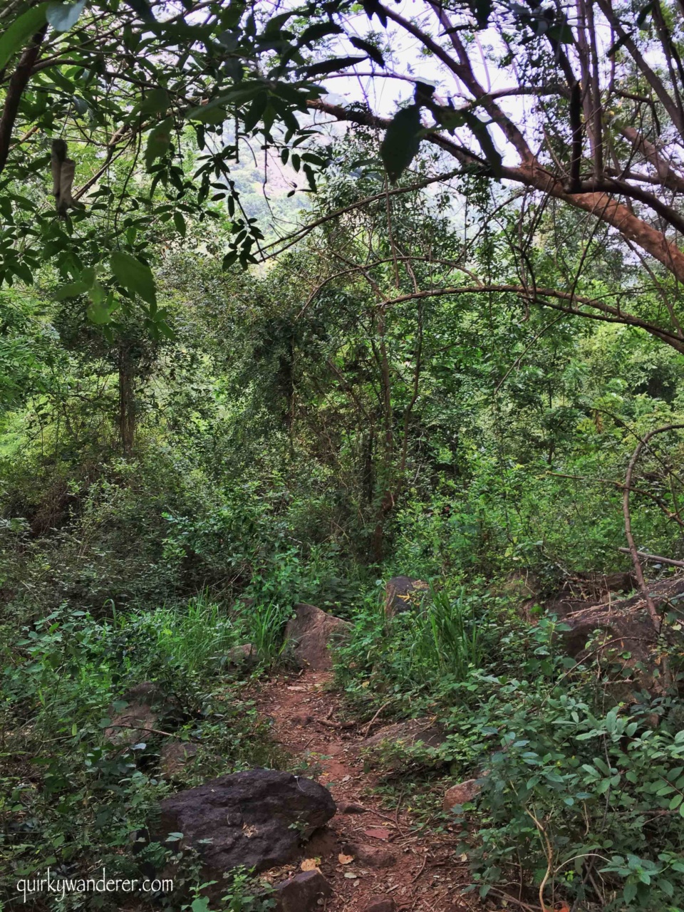 Kamarajar valley near Madurai is an offbeat getaway for those seeking serenity and quiet. This travelogue talks about an adventurous lesser known trek in Palani hills arranged by the Double Dutch resort.