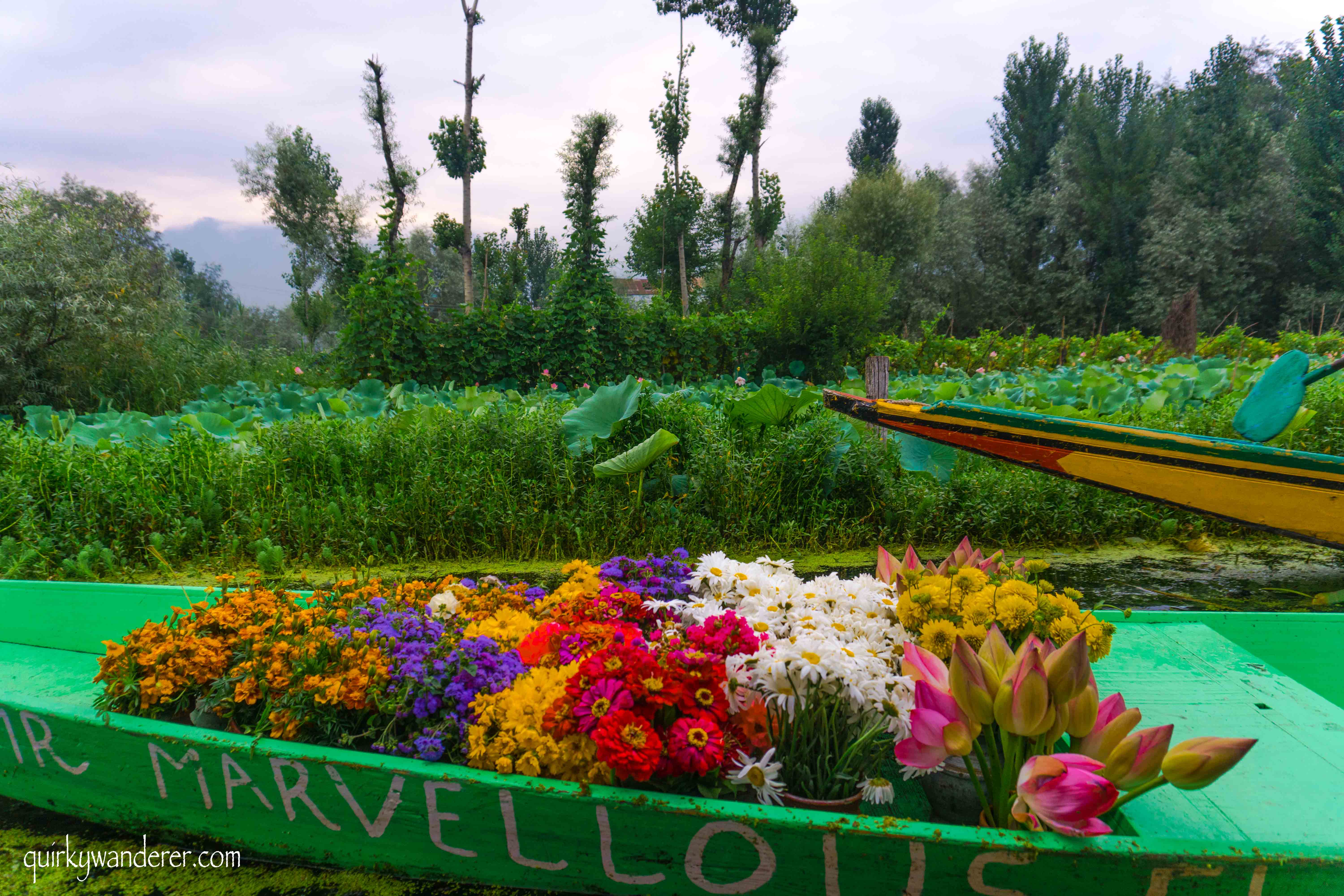 Flower shikara in Nigeen lake