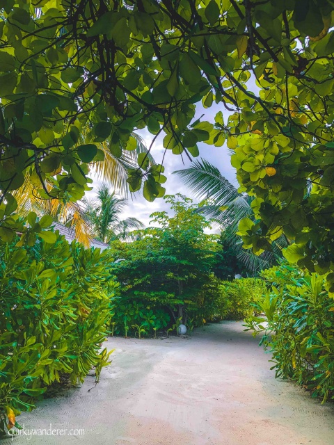 Best luxury island resort in Maldives